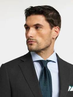 Trajes|Trajes<Alvaro Moreno AMERICANA FIL A FIL Gris