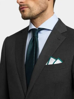 Trajes|Trajes<Alvaro Moreno AMERICANA FIL A FIL Gris