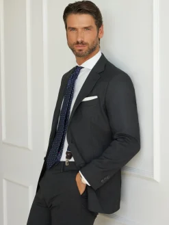 Trajes|Trajes<Alvaro Moreno AMERICANA FIL A FIL Gris