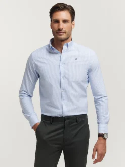 Oxford<Alvaro Moreno CAMISA OXFORD RAYAS Celeste
