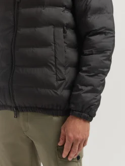 Cazadoras Y Parkas<Alvaro Moreno CAZADORA MARTELL Negro