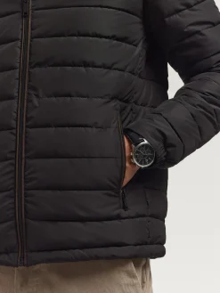 Cazadoras Y Parkas<Alvaro Moreno CAZADORA ZEPPELIN Negro