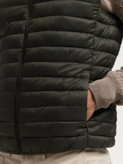 Chalecos<Alvaro Moreno CHALECO NIRO Verde