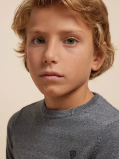 Jerséis<Alvaro Moreno JERSEY ROUND NECK KIDS Gris