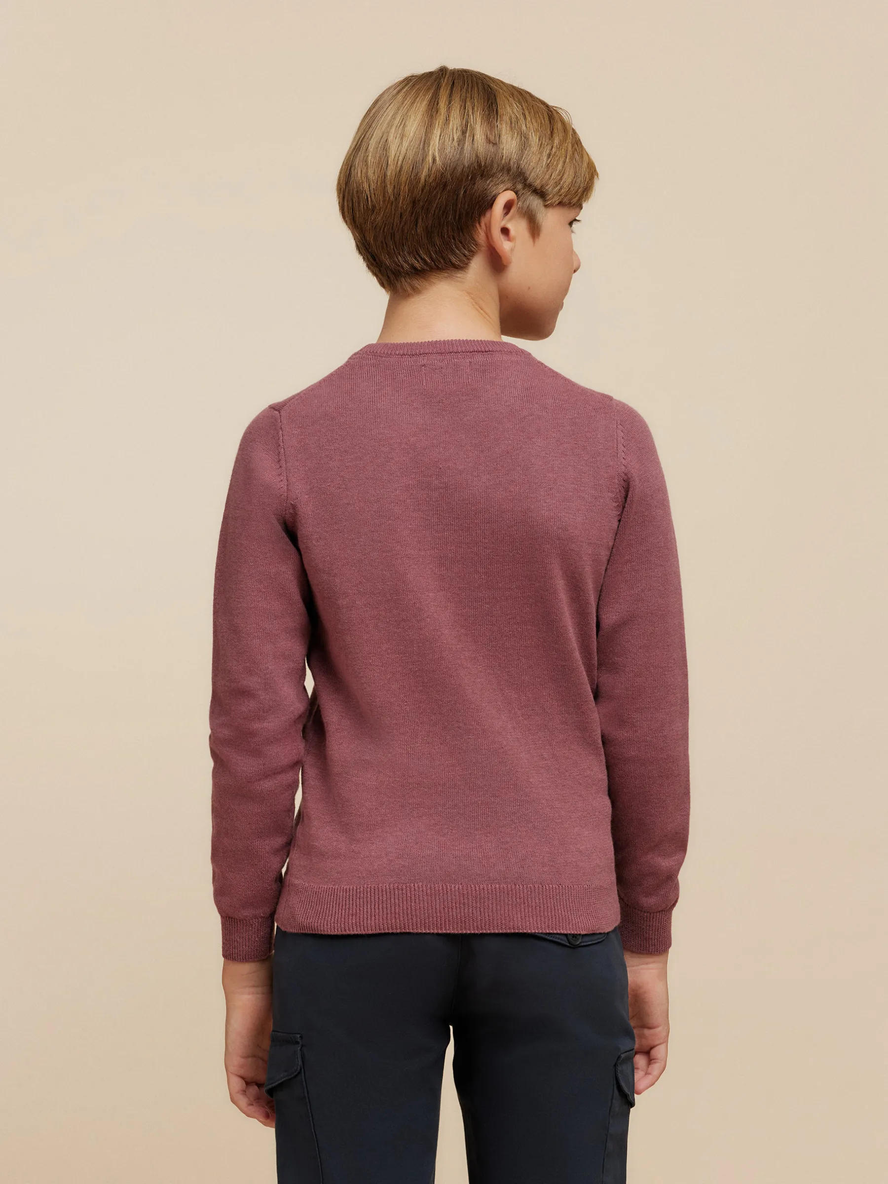 Jerséis<Alvaro Moreno JERSEY ROUND NECK KIDS Violeta