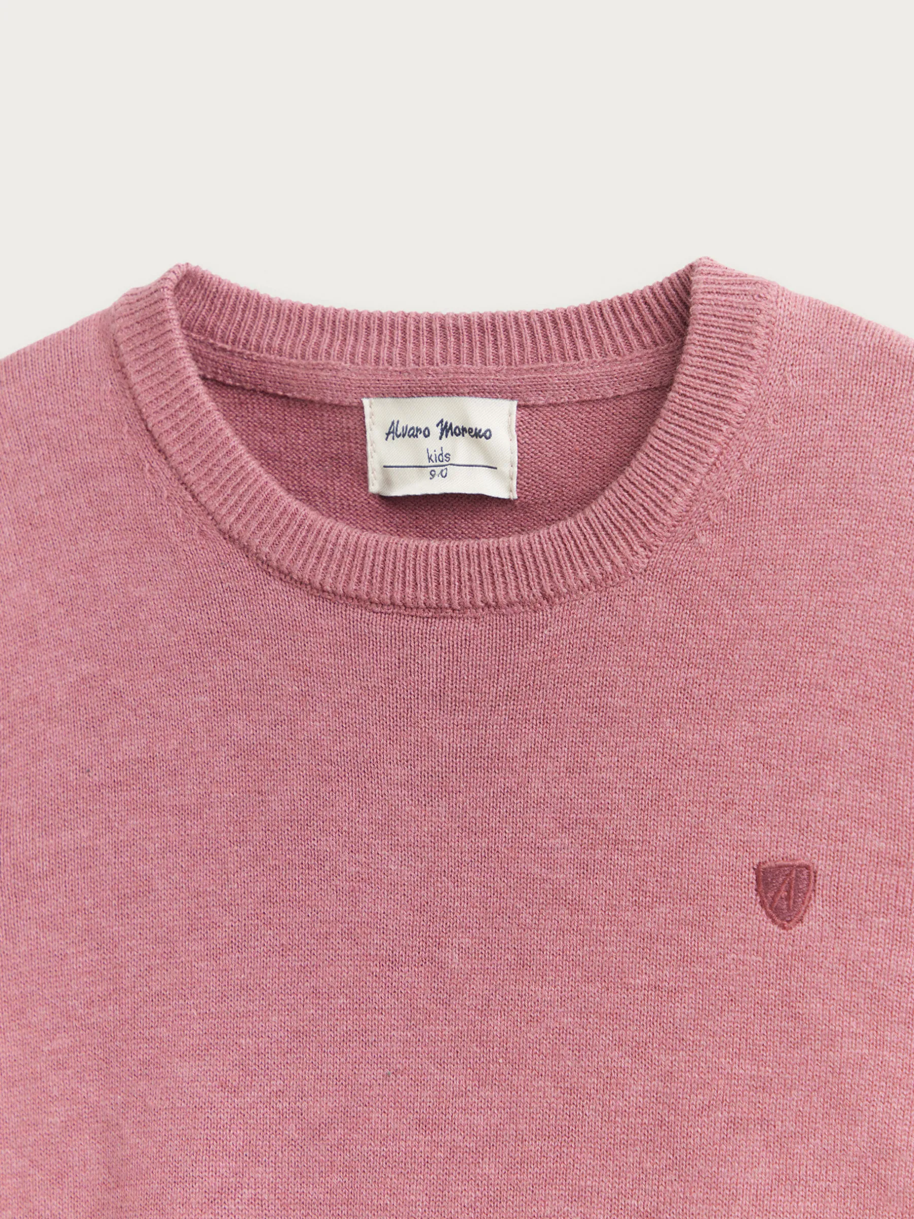 Jerséis<Alvaro Moreno JERSEY ROUND NECK KIDS Violeta