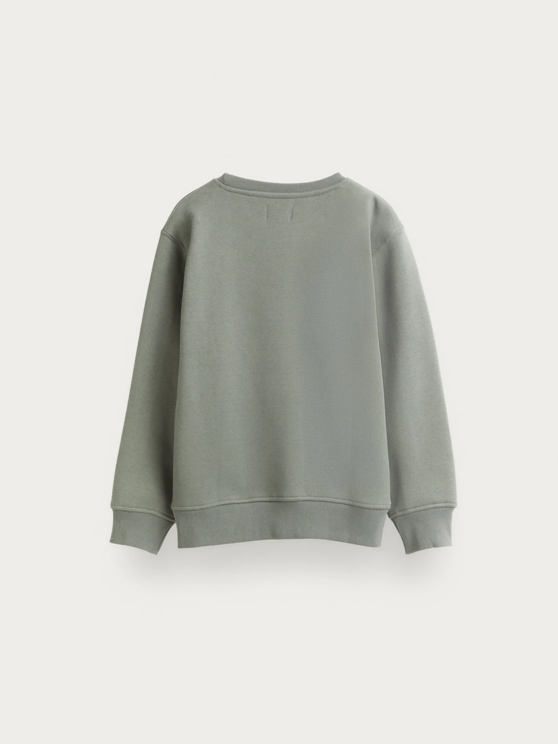 Sudaderas<Alvaro Moreno SUDADERA BASICA KIDS Verde